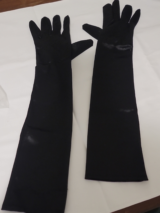 Source Unknown Accessories - Black Silk Gloves